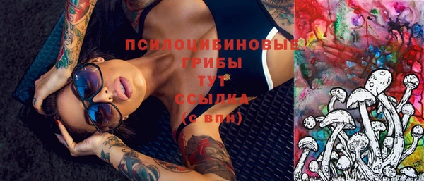 jwh Гусев
