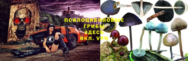 ALPHA-PVP Гусиноозёрск