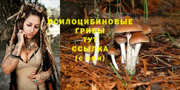 ALPHA-PVP Гусиноозёрск