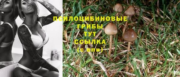таблы Гусь-Хрустальный