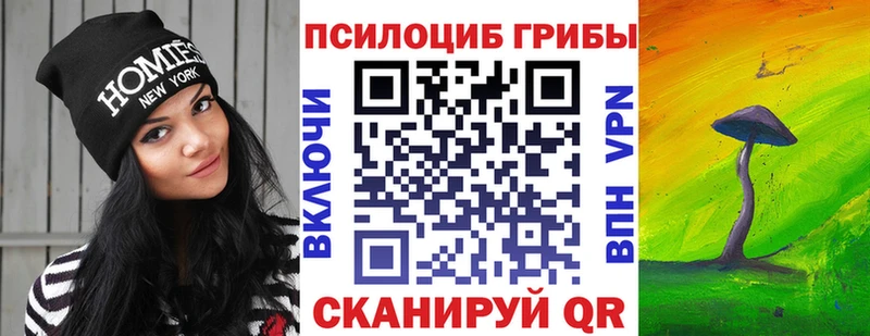blacksprut ТОР  где продают наркотики  Петров Вал  Галлюциногенные грибы MAGIC MUSHROOMS 